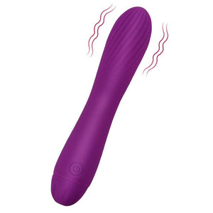 VESSTT G Spot Vibrator, Rechargeable Clitoral Stimulator Adult Sex Toys for Women, Purple