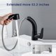 Beenate Kitchen Faucet, with Pull Down Sprayer Brass Single Handle Sink Commercial Modern Stainless Steel Vanity Basin Black