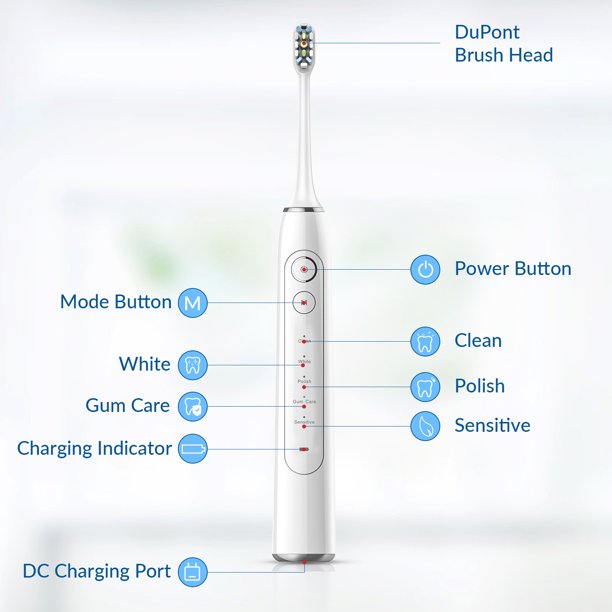 Electric Toothbrush, Ifanze Rechargeable Sonic Whitening Toothbrush With 4 Dupont Brush Heads